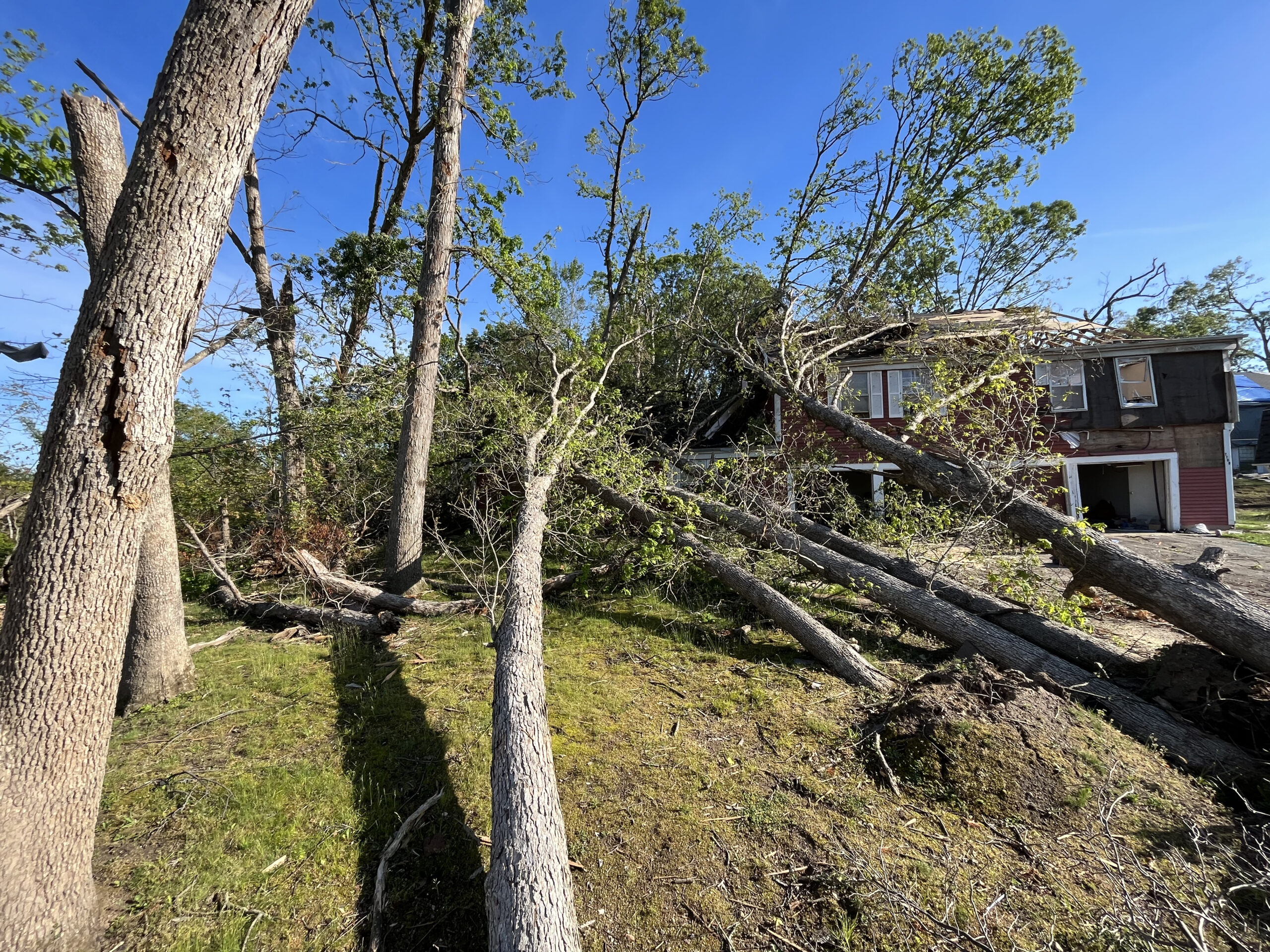 Multiple trees crashed into house after storm - Emergency tree removal West Michigan